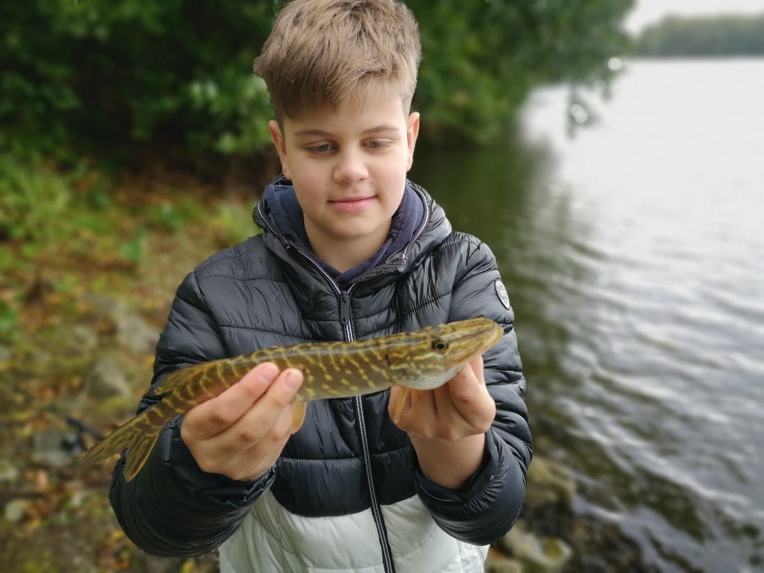 IMG 20201011 1623141