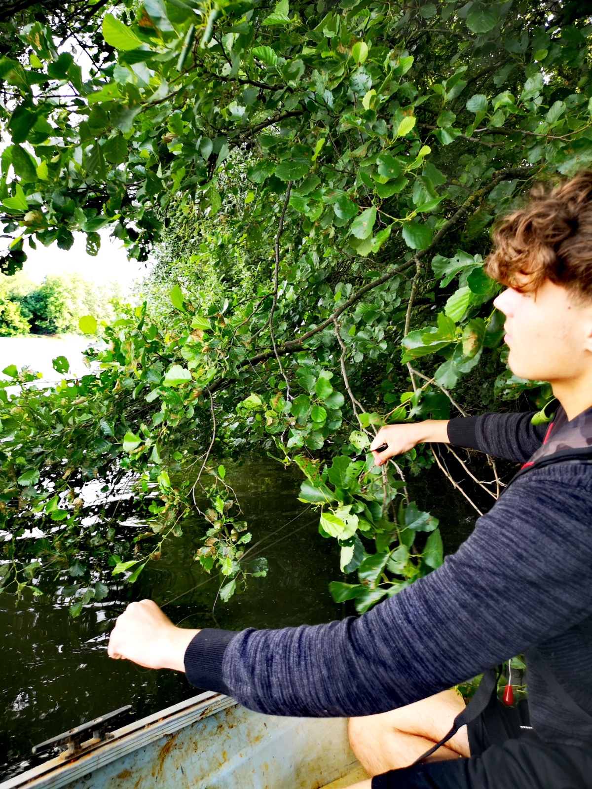 IMG 20230705 180052 edit 3190774507064159