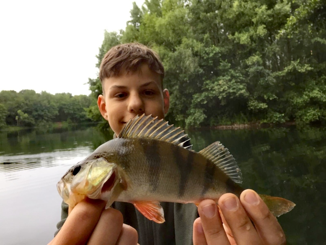 IMG 20200714 225012 6651